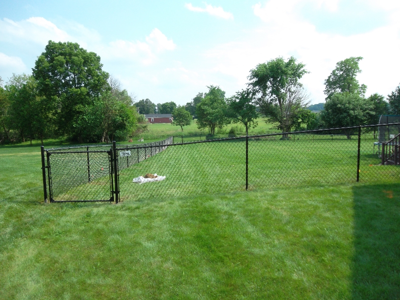 Residential Vinyl Chain Link Fencing32