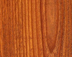 Fence Stain Contractor in Elkhart Indiana